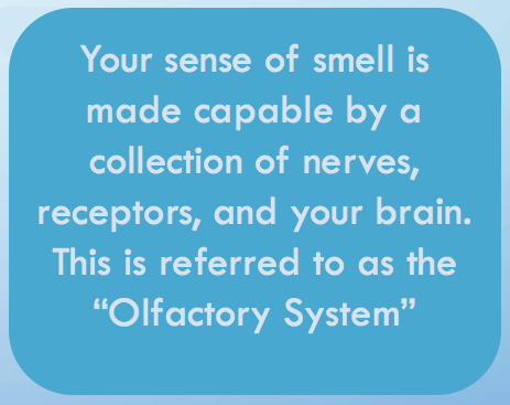 smell1 smell